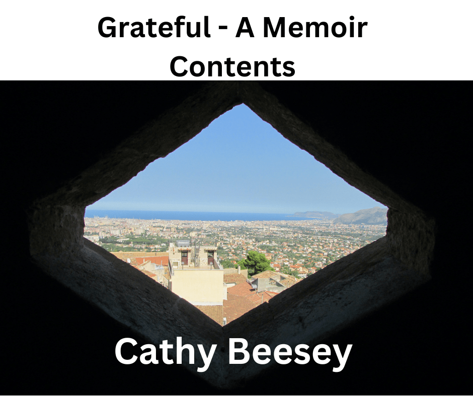 https://cathybeeseystoriesconnectingus.com/wp-content/uploads/2025/02/grateful-a-memoir-3-2.png