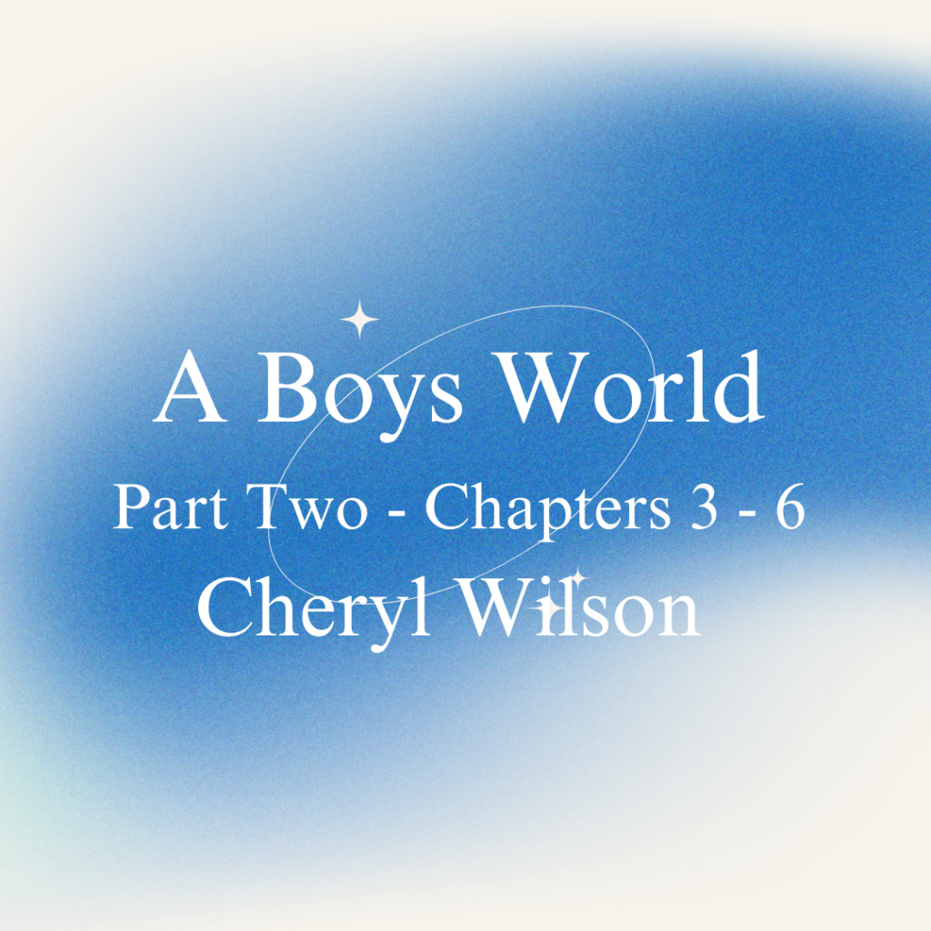 A Boys World – Part&nbsp;Two